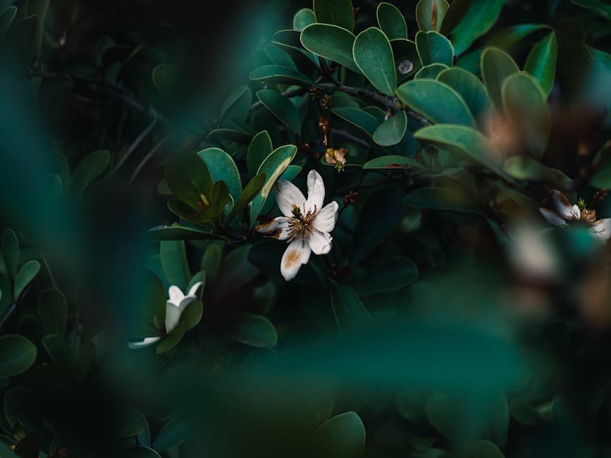 媽媽手治療:專業分析與有效方法